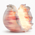 Nautilus